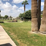 Image of Paradise Oasis (3)