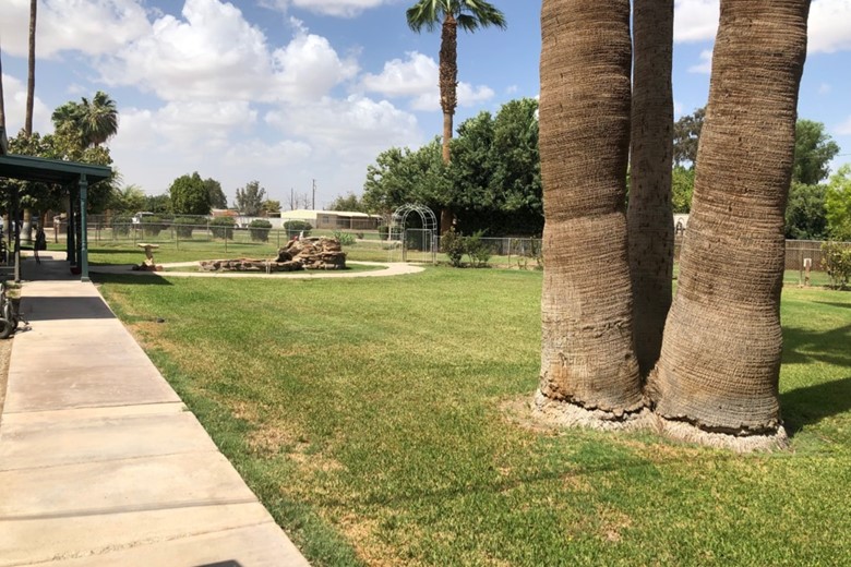 Image of Paradise Oasis (3)