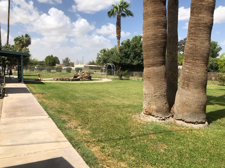 Image of Paradise Oasis (3)