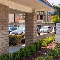 Image of Camino Healthcare (1)