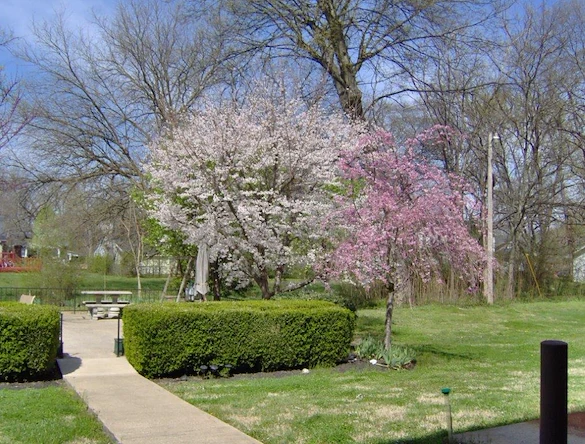 Image of Lebanon Square (4)