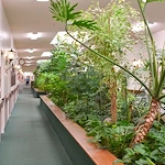 Image of Gardens Assisted Living (4)