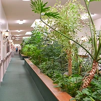 Image of Gardens Assisted Living (4)