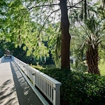 Image of The Cypress of Hilton Head (5)