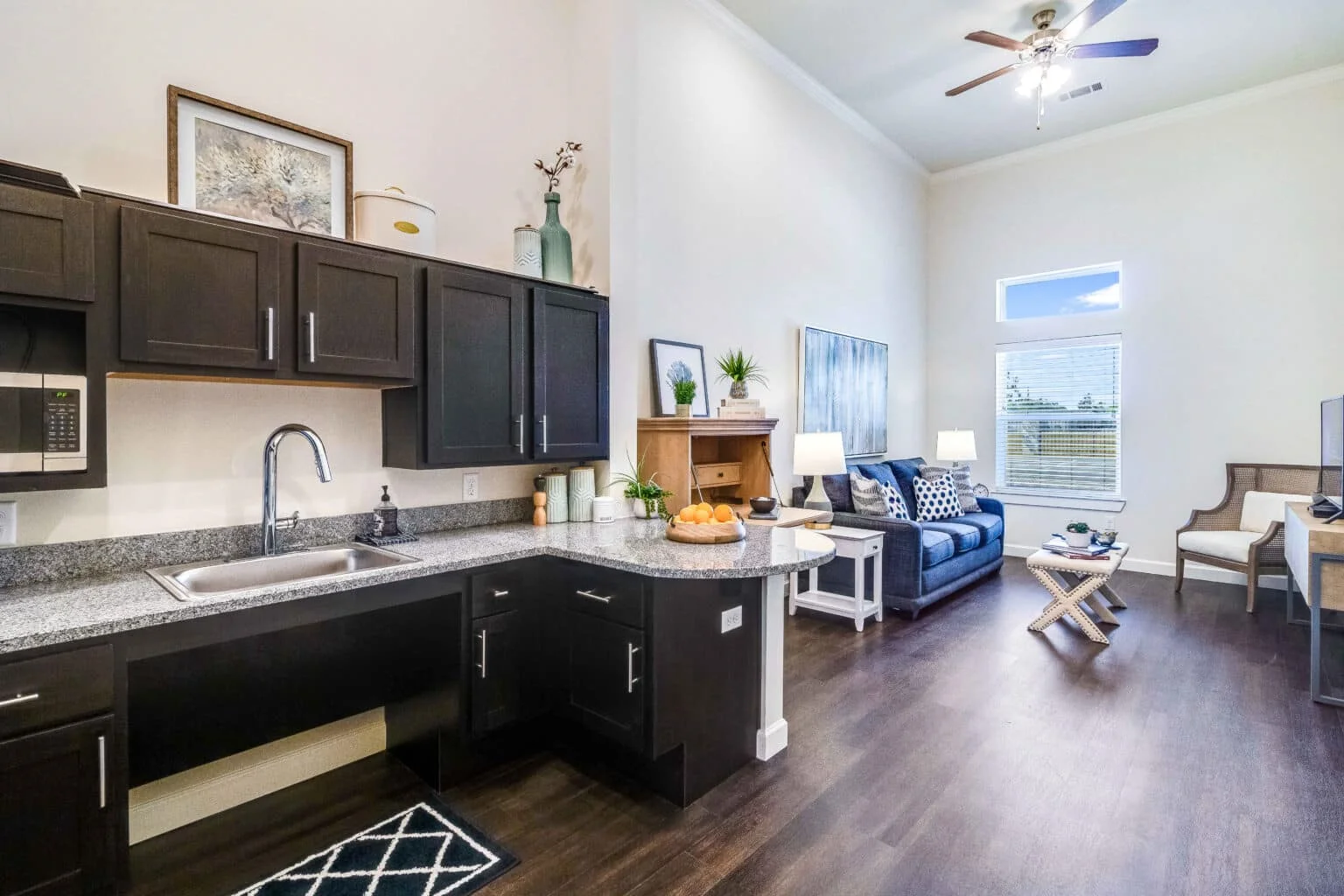 Kitchen and living area of a Vincent Senior Living Community apartment