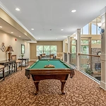 Image of Rain Forest Landings (7)