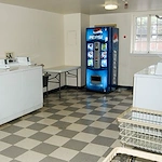 Image of Livingston Manor (5)