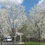 Image of Central Park Rehabilitation And Nursing Center (2)