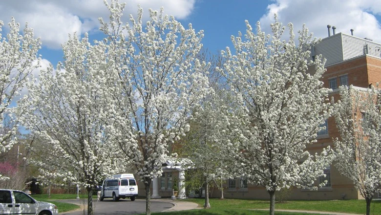 Image of Central Park Rehabilitation And Nursing Center (2)