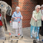 Image of Capstone Village (4)