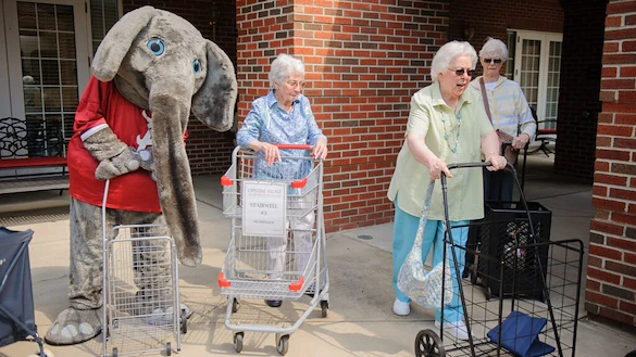 Image of Capstone Village (4)