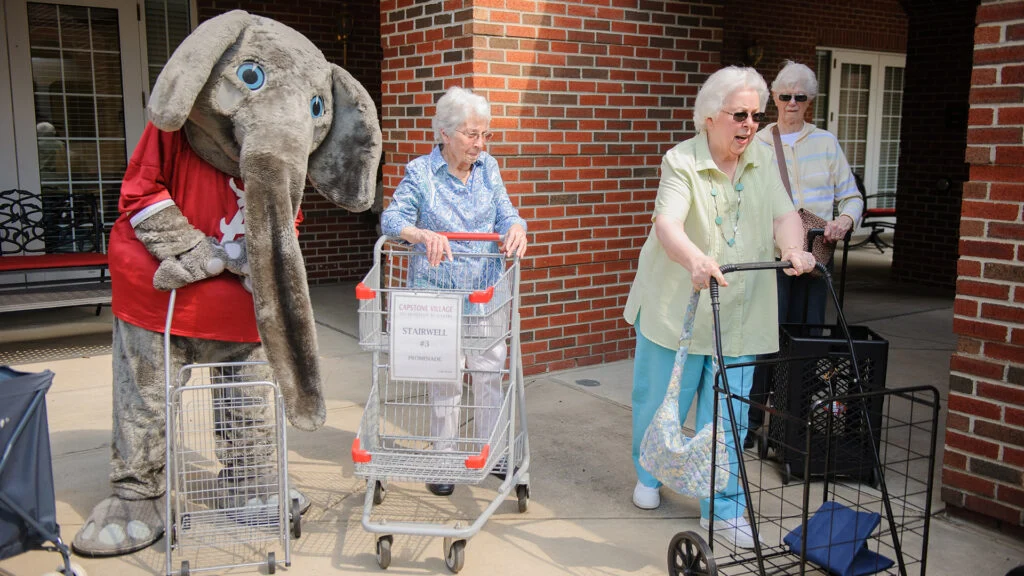 Image of Capstone Village (4)