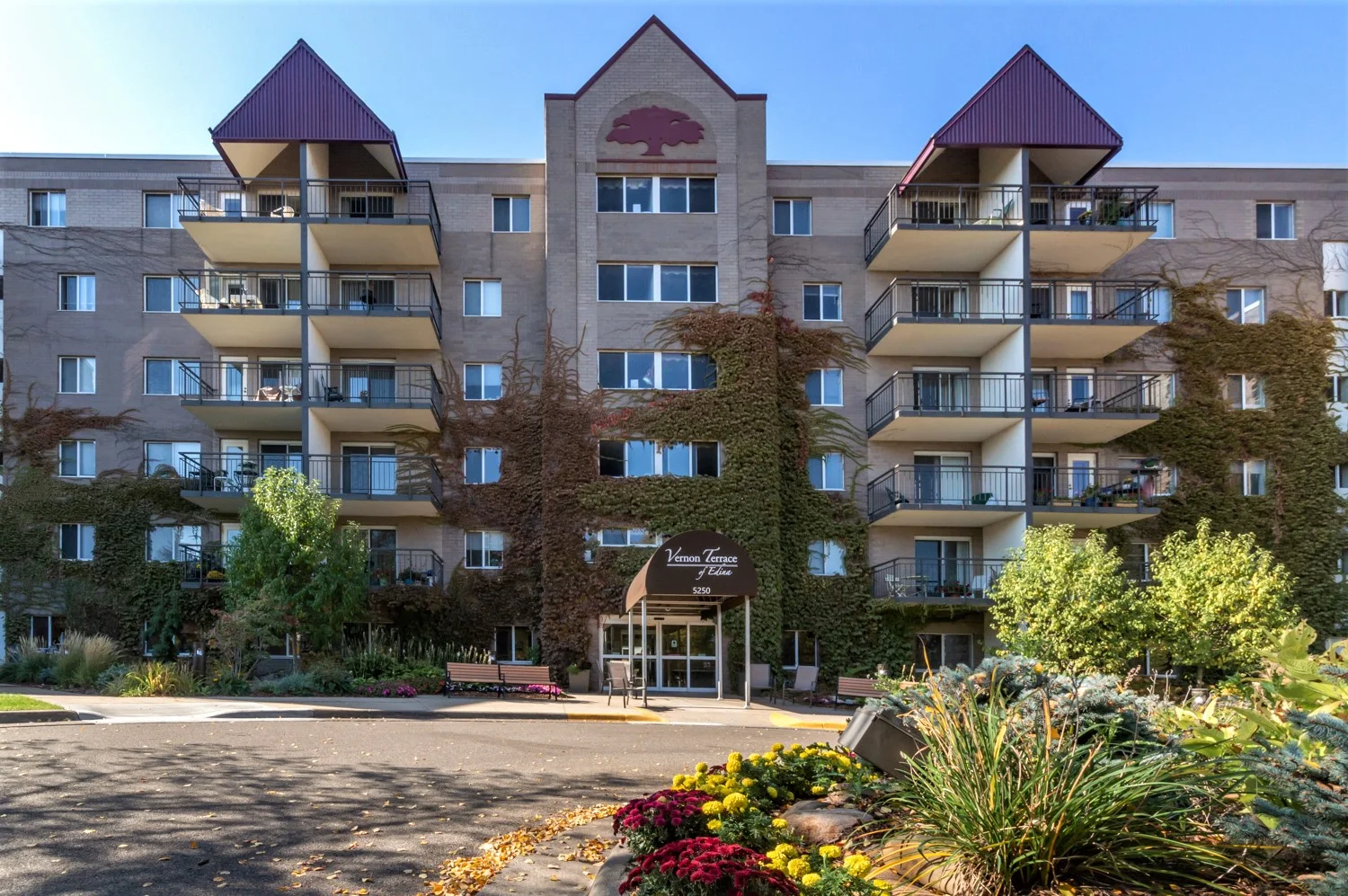 Image of Vernon Terrace of Edina (1)
