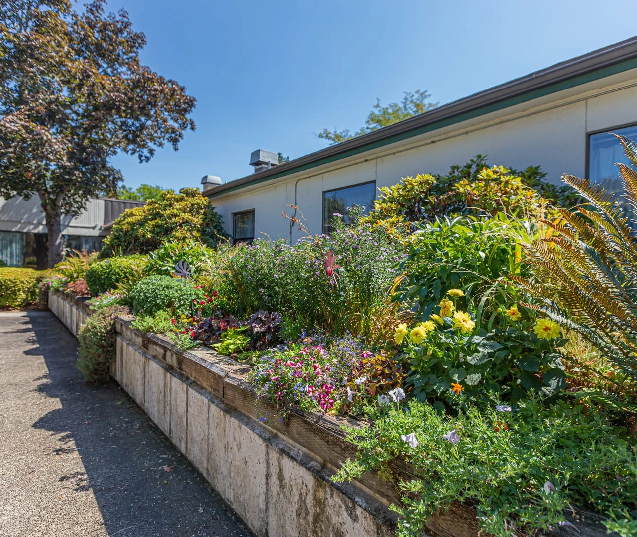 Image of Umpqua Valley Nursing & Rehabilitation (2)