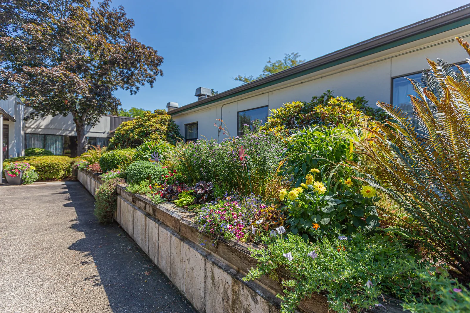 Image of Umpqua Valley Nursing & Rehabilitation (2)