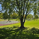 Image of Genesis Housing (10)