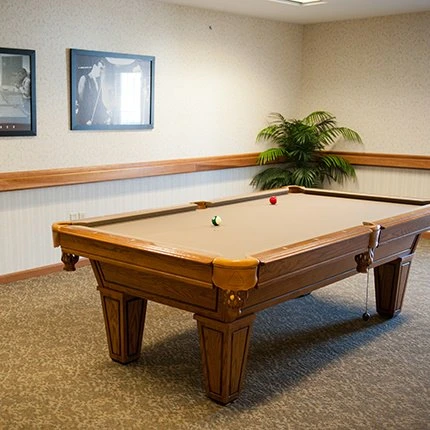 Coventry Meadows Senior Living in Fort Wayne, IN billiards pool table