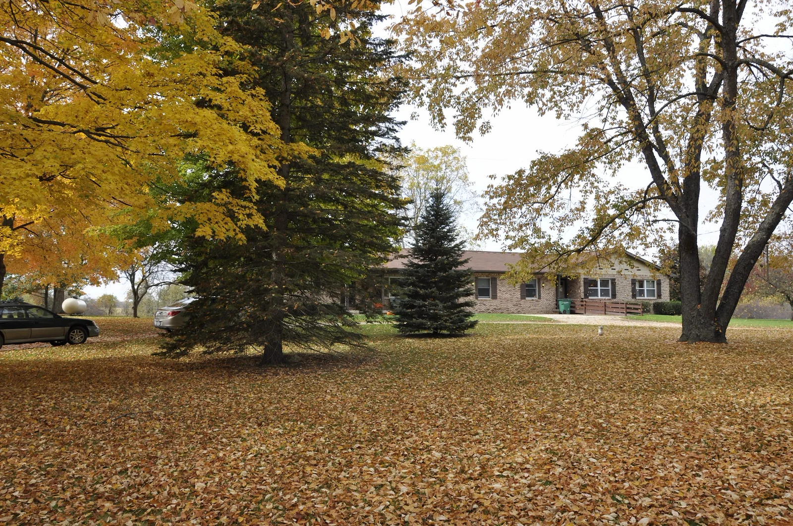 Image of Serenity House Assisted Living (5)