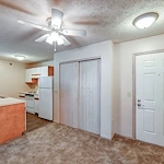 Image of Tall Trees (8)