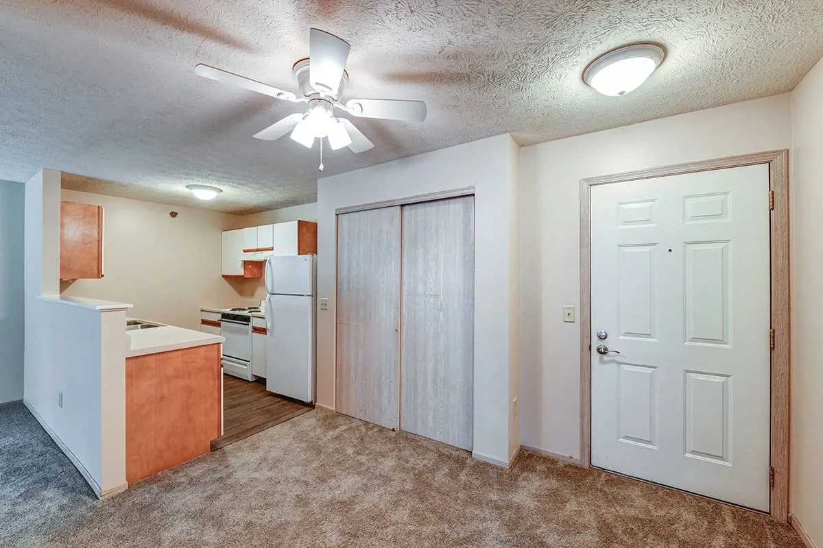 Image of Tall Trees (8)