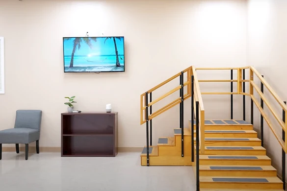 Vivo Healthcare Meadows Photo (5)