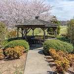 Image of Friends Homes Senior Living (8)