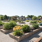 Image of Wyndemere & Westbridge Senior Living (8)