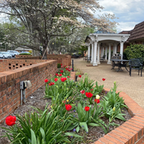 Image of Dogwood Village Of Orange County Health And Rehab (4)