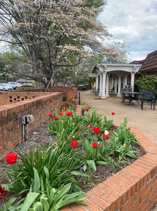 Image of Dogwood Village Of Orange County Health And Rehab (4)