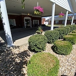 Image of Brickyard Healthcare - Golden Rule Care Center (4)