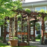 Image of Vineyard Park of Bothell Landing (2)