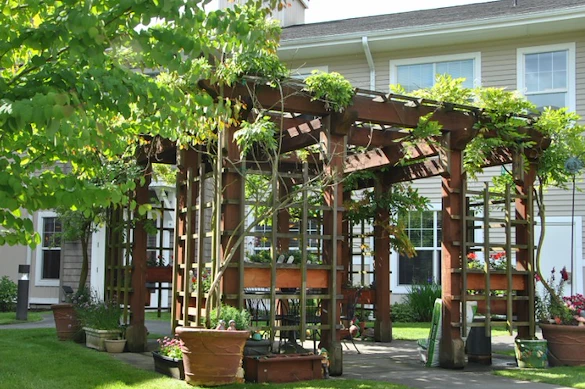 Image of Vineyard Park of Bothell Landing (2)