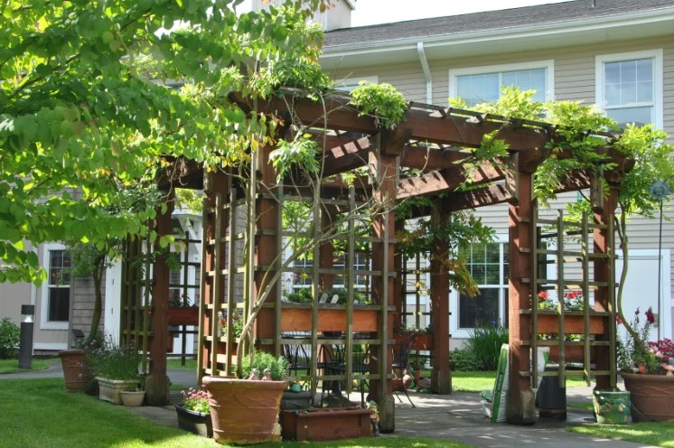 Image of Vineyard Park of Bothell Landing (2)