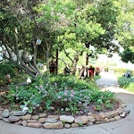 Image of Oaks of Tucker (6)