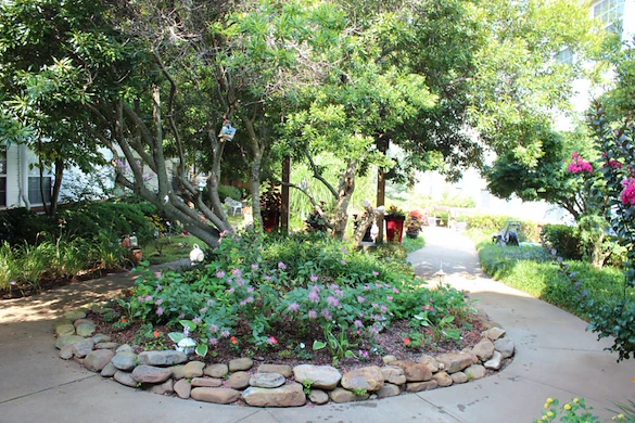 Image of Oaks of Tucker (6)