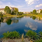 Image of The Windsor of Savoy (6)