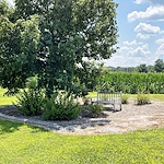 Image of Courtyard Estates of Girard (7)