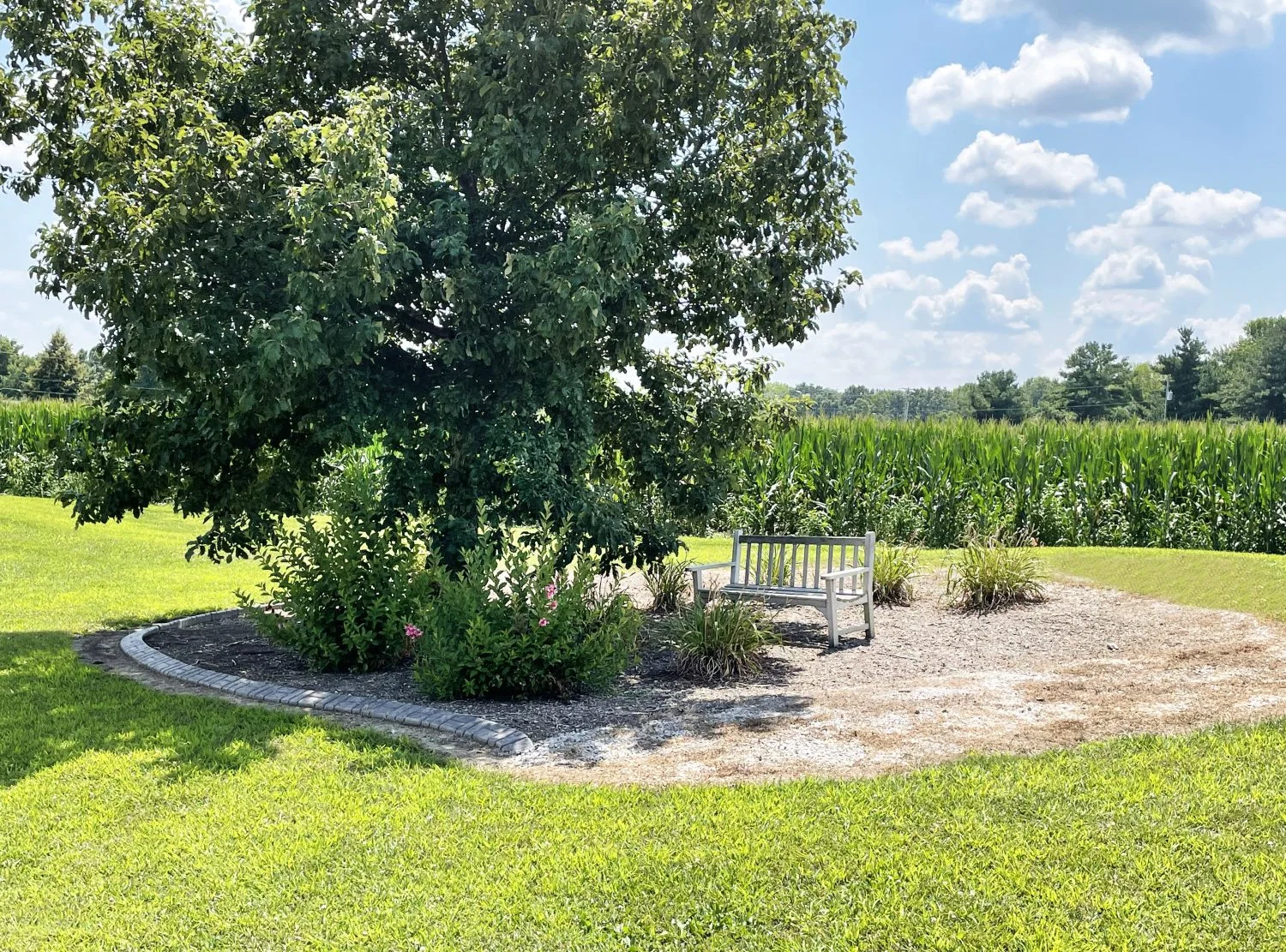 Image of Courtyard Estates of Girard (7)
