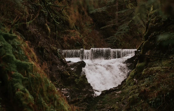 Image of Riverview Alaska (10)