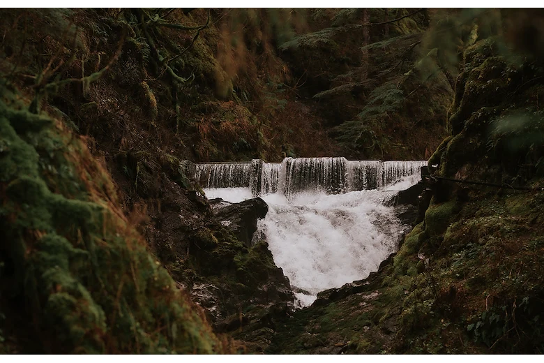 Image of Riverview Alaska (10)
