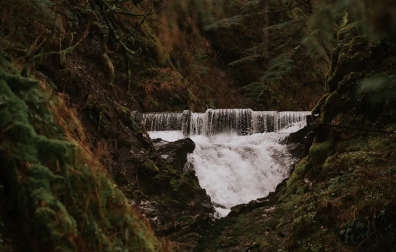 Image of Riverview Alaska (10)