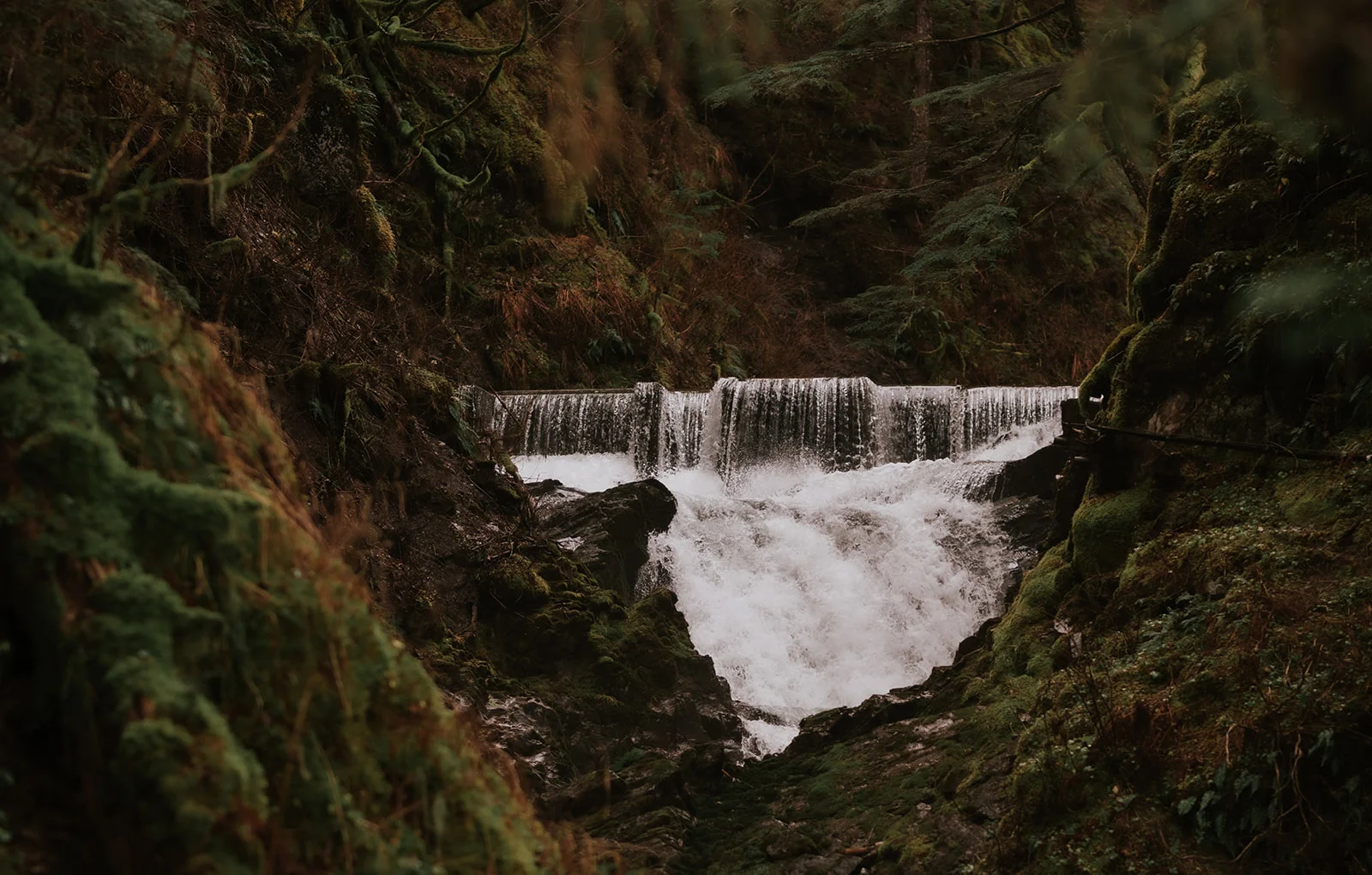 Image of Riverview Alaska (10)