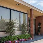 Image of Brier Oak On Sunset (1)