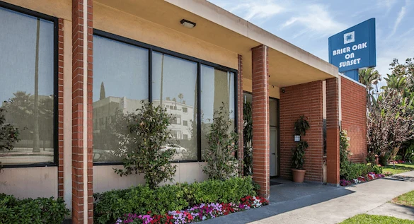 Image of Brier Oak On Sunset (1)