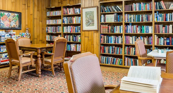 Image of AVIVA Maybelle Carter (4)