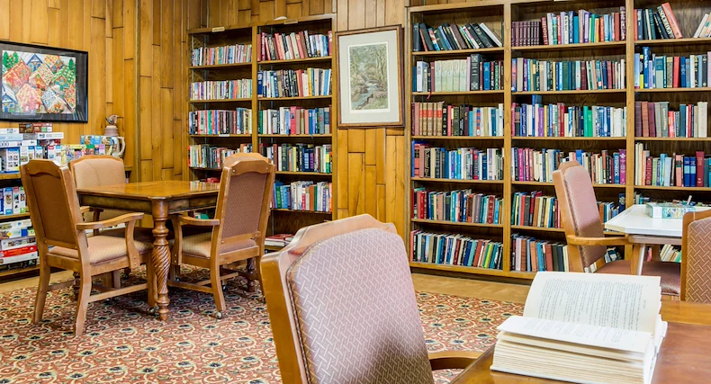 Image of AVIVA Maybelle Carter (4)