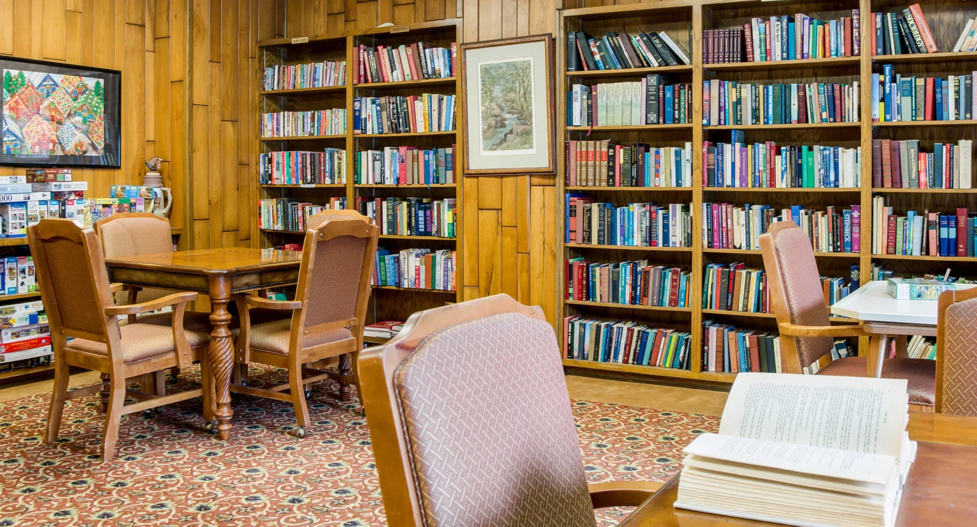 Image of AVIVA Maybelle Carter (4)