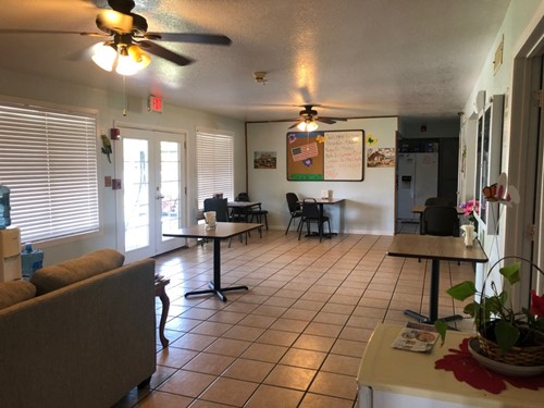 Image of Paradise Oasis (7)
