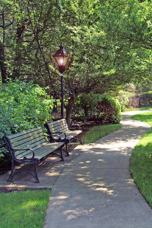 Image of Rogerson House (3)