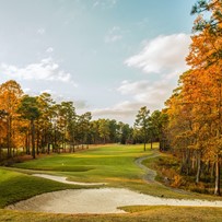 Image of Connect55+ Burlington - Coming Soon (3)